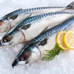 Pompano