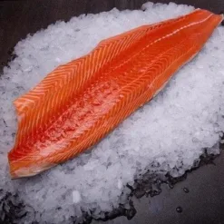 Fresh Salmon Fillet, Fresh Whole Salmon
